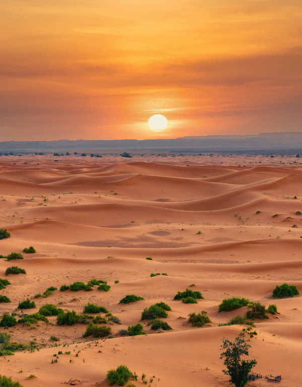 9 Days Morocco Tour from Casablanca