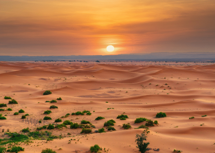 9 Days Morocco Tour from Casablanca