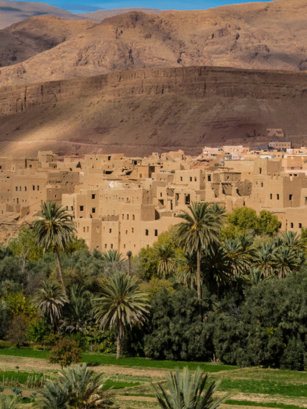 8 Days Morocco Tour from Fes