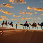 1-Night Camel Trekking in Merzouga - Desert Adventure Itinerary
