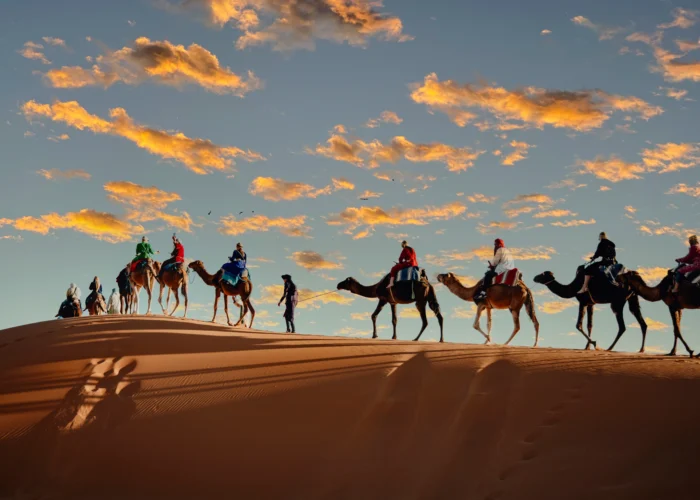 1-Night Camel Trekking in Merzouga - Desert Adventure Itinerary